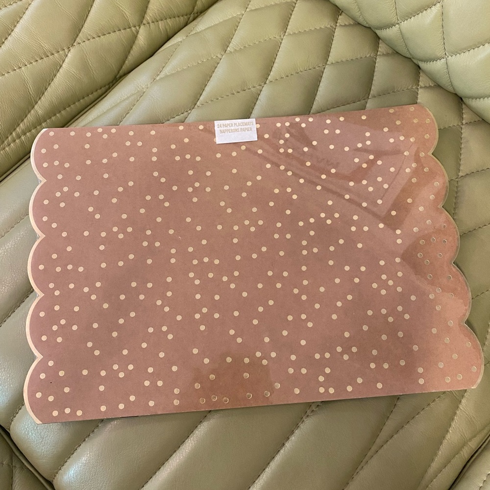 Paper Placemats - NWT - ideal for Holiday Dinners - there are 24 in the package.